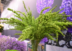 De Unicorn van Danziger werd geïntroduceerd deze beurs.